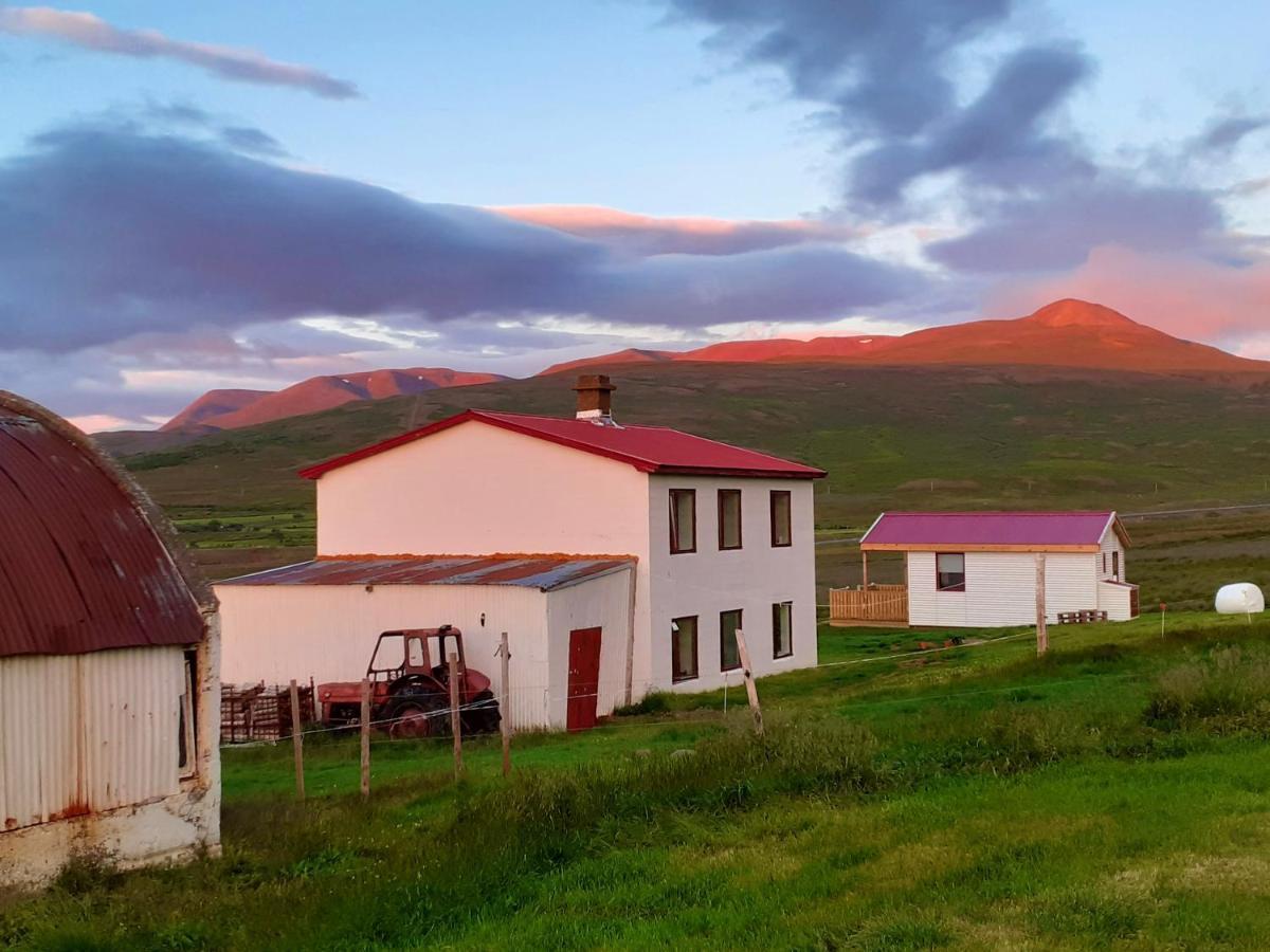 Skarth Guesthouse Saudarkrokur Dış mekan fotoğraf