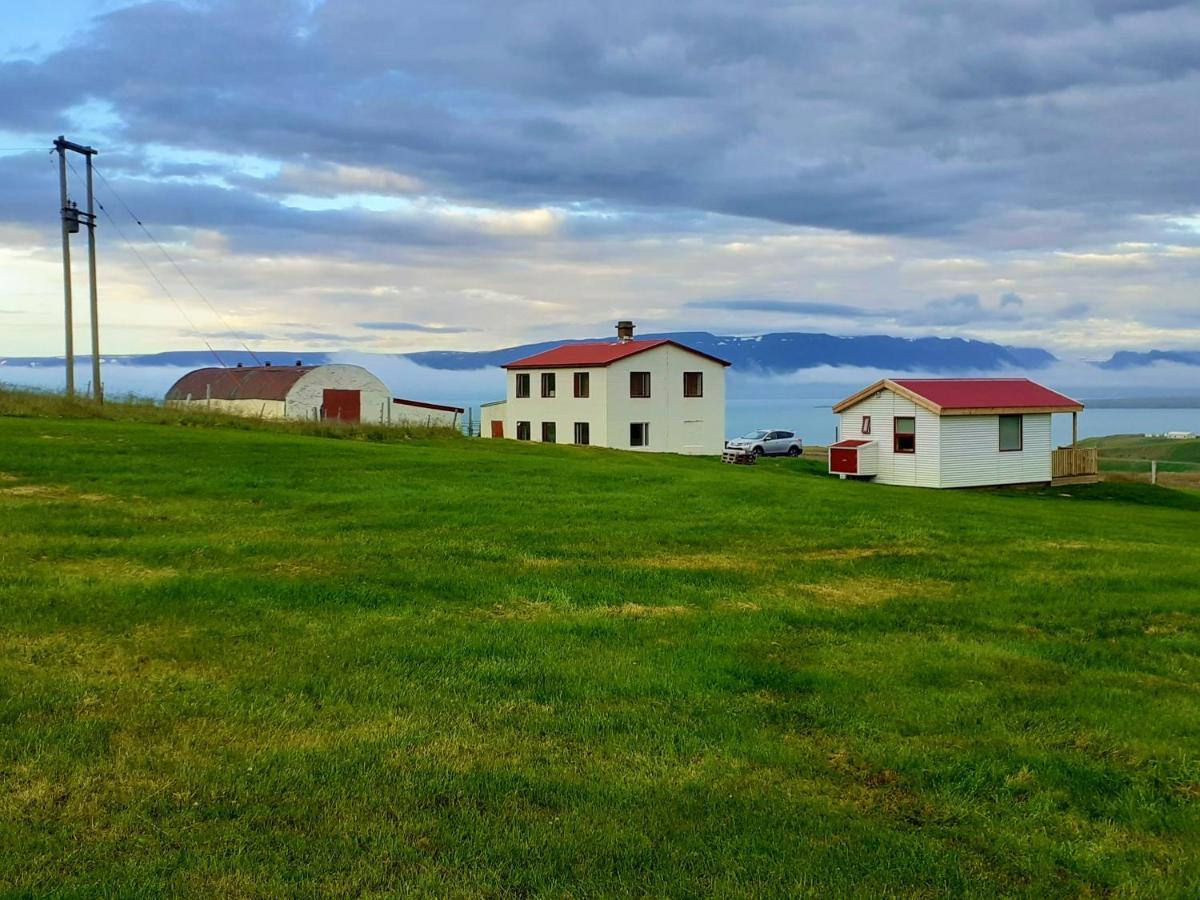 Skarth Guesthouse Saudarkrokur Dış mekan fotoğraf