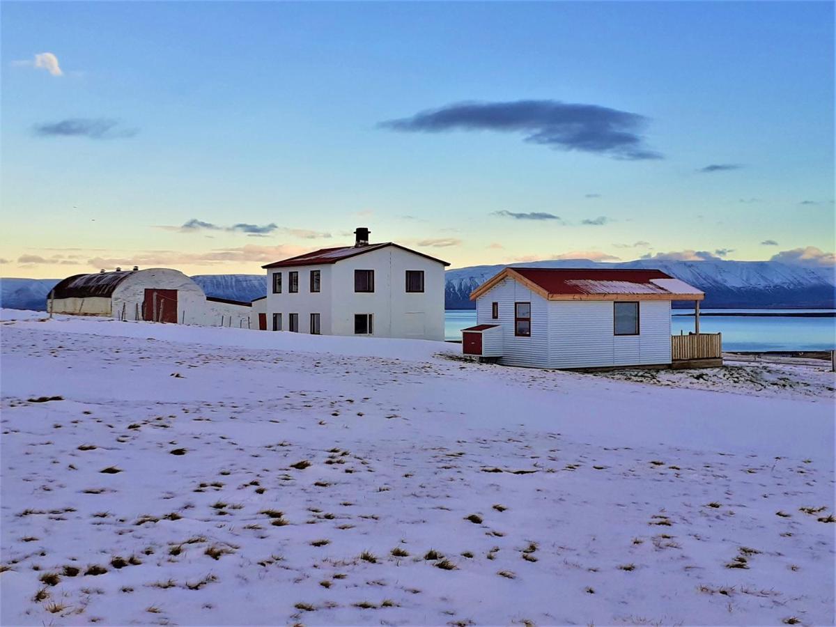 Skarth Guesthouse Saudarkrokur Dış mekan fotoğraf