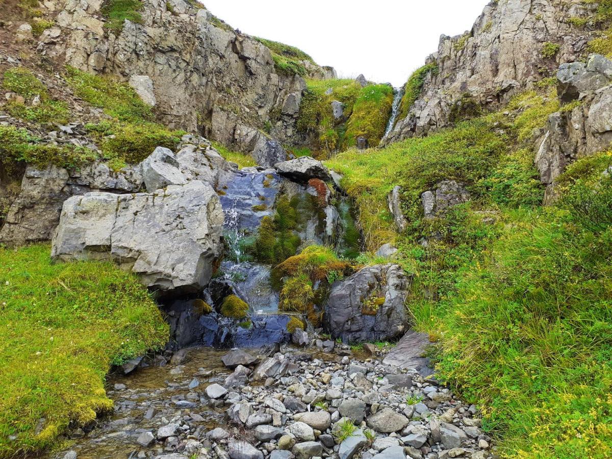 Skarth Guesthouse Saudarkrokur Dış mekan fotoğraf